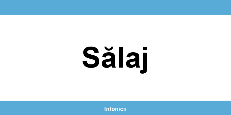 Casa Județeană de Pensii Sălaj (CNPP) – program și contact